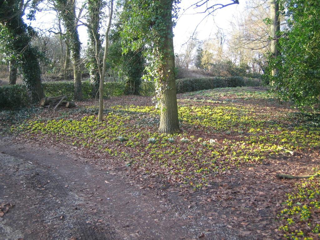 Bulmer Tye House Middleton  Luaran gambar